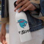 mr beast sipper bottle
