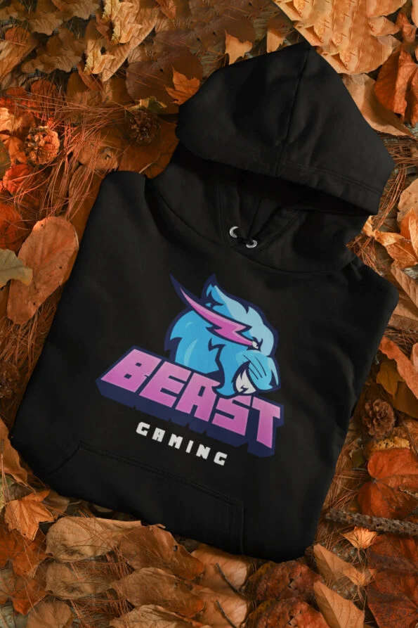 mr-beast-gaming-2