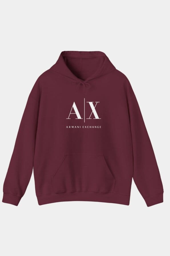 armani hoodie 2