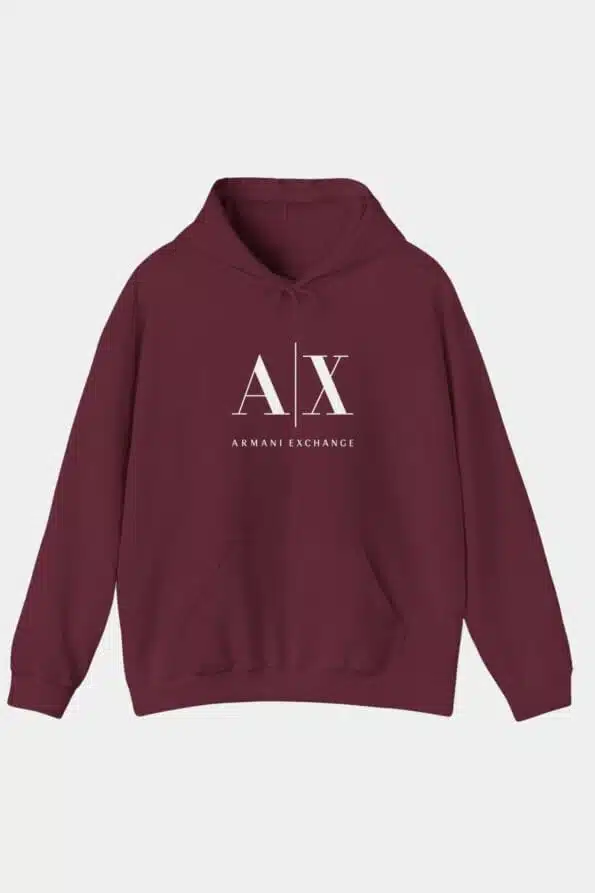 armani hoodie 2