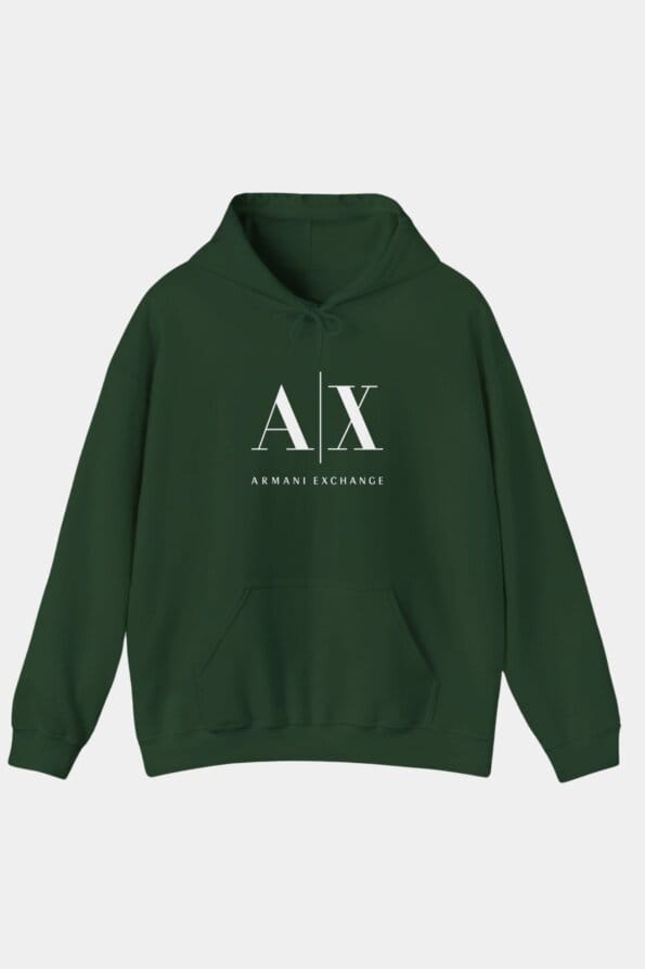 armani hoodie 3