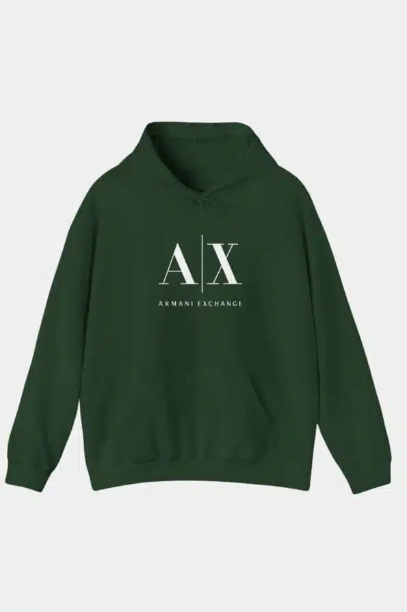 armani hoodie 3